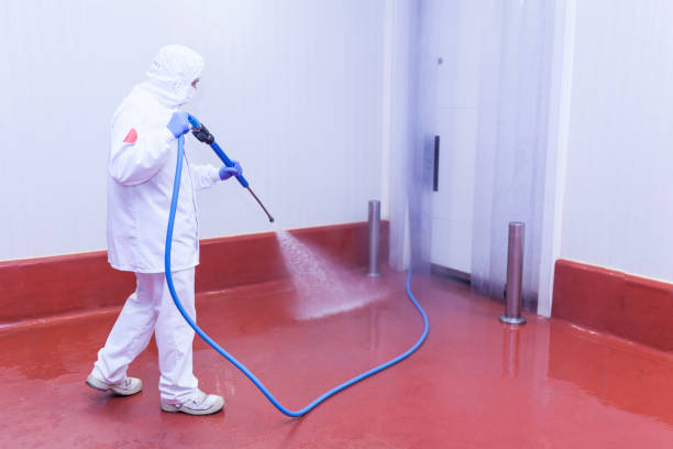 Animal Enclosure Cleaning in Avocado Heights, CA